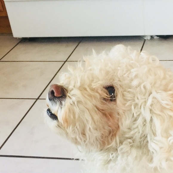 Meet your Posher, Cindy - Picture 1 of 1